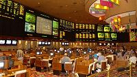 bellagio sportsbook