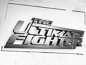 ultimate fighter