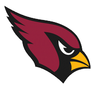 2009 arizona cardinals team report