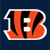 bengals