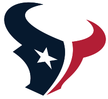 2009 houston texans team report